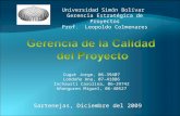 Universidad Simón Bolívar Gerencia Estratégica de Proyectos Prof. Leopoldo Colmenares Sartenejas, Diciembre del 2009 Cugat Jorge, 06-39407 Londoño Ana,