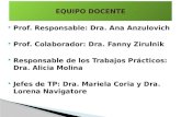 Prof. Responsable: Dra. Ana Anzulovich  Prof. Colaborador: Dra. Fanny Zirulnik  Responsable de los Trabajos Prácticos: Dra. Alicia Molina  Jefes de.