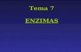 Tema 7 ENZIMAS. PROPIEDADES GENERALES DE LOS ENZIMAS Son los catalizadores de las reacciones químicas que se producen en los sistemas biológicos. Tienen.