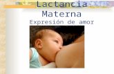 Lactancia Materna Expresión de amor. ¿Por qué Lactancia Materna? Porque es mejor alimento que una madre puede ofrecer a un recién nacido. En el aspecto.