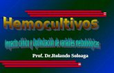 Prof. Dr.Rolando Soloaga. HEMOCULTIVOS EN LA ERA DE LA CRISIS ECONOMICA ECONOMICA CUESTIONES A RESOLVER PEDIDO RACIONAL DE HEMOCULTIVOS COMBINACION DE.