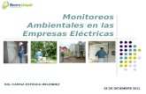 Monitoreos Ambientales en las Empresas Eléctricas ING. KARINA ESTRADA MELENDEZ 02 DE DICIEMBRE 2011.