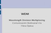 WDM Wavelength Division Multiplexing Comunicación Multicanal Vía Fibra Óptica.