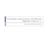 Principales alteraciones del Sistema Digestivo Clase nº 1 Patricia Sanhueza Acevedo.