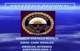 ANESTESIA REGIONAL MARIO A. CASTILLO BLANCO DIEGO CANO ROSALES MEDICOS INTERNOS ANESTESIOLOGIA Y REANIMACION.