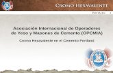 1 1 1 1 Asociación Internacional de Operadores de Yeso y Masones de Cemento (OPCMIA) Cromo Hexavalente en el Cemento Portland 1.