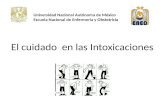 El cuidado en las Intoxicaciones Universidad Nacional Autónoma de México Escuela Nacional de Enfermería y Obstetricia.