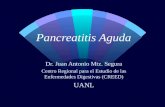 Pancreatitis Aguda Dr. Juan Antonio Mtz. Segura Centro Regional para el Estudio de las Enfermedades Digestivas (CREED) UANL.