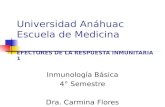 Universidad Anáhuac Escuela de Medicina EFECTORES DE LA RESPUESTA INMUNITARIA 1 Inmunología Básica 4° Semestre Dra. Carmina Flores Domínguez.