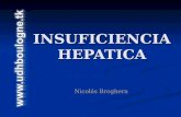 INSUFICIENCIA HEPATICA Nicolás Broghera. INSUFICIENCIA HEPATICA AGUDA GRAVE CONCEPTO: CONCEPTO: Sindrome que se produce como consecuencia de una necrosis.