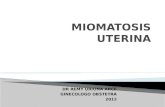 DR REMY URIONA ARCE GINECOLOGO OBSTETRA 2012.  Tumor más frecuente del útero  30 % en mujeres mayores de 35 años, son excepcionales antes de la pubertad.