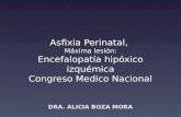 Asfixia Perinatal, Máxima lesión: Encefalopatía hipóxico izquémica Congreso Medico Nacional DRA. ALICIA BOZA MORA.