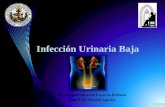 Definición Representa la respuesta inflamatoria del urotelio a la invasión bacteriana M. Grabe (Chairman), M.C. Bishop, T.E. Bjerklund-Johansen, H. Botto,