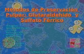 Métodos de Preservación Pulpar: Glutaraldehido y Sulfato Férrico Integrantes: Integrantes: María Soledad Bochetti María Soledad Bochetti Luis Bohle Luis.