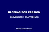 ÚLCERAS POR PRESIÓN PREVENCIÓN Y TRATAMIENTO María Terrón Navas.