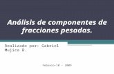 Análisis de componentes de fracciones pesadas. Realizado por: Gabriel Mujica B. Febrero-10 - 2009.