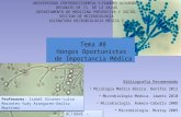 Bibliografia Recomendada ● Micología Médica Básica. Bonifaz 2012 ● Microbiología Medica. Jawetz 2010 ● Microbiología. Romero-Cabello 2008 ● Microbiología.