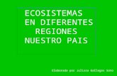 ECOSISTEMAS EN DIFERENTES REGIONES NUESTRO PAIS Elaborado por Julissa Gallegos Soto.
