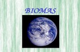 BIOMAS. El clima y las características físicas determinan los ecosistemas En distintos lugares terrestres pueden observarse la existencia de diferentes.