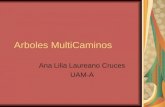 Arboles MultiCaminos Ana Lilia Laureano Cruces UAM-A.