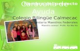 Colegio Bilingüe Calmecac Secundaria Maestros Federales Maestro asesor: Profe. Ka Wa Ho.