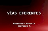 VÍAS EFERENTES Profesora Marcela Saavedra A. Control nervioso SISTEMA NERVIOSO S.N.Central (Encéfalo y Médula) S.N. Periférico (vías sensitiva y motoras,