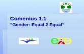 Comenius 1.1 “Gender: Equal 2 Equal”. PAÍSES PARTICIPANTES  España (I.E.S. Cuenca del Nalón – La Felguera – Langreo)  Islandia (Menntaskólinn í Kópavogi.