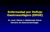 Enfermedad por Reflujo Gastroesofágico (ERGE) Dr. med. Héctor J. Maldonado Garza Servicio de Gastroenterología.