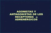 AGONISTAS Y ANTAGONISTAS DE LOS RECEPTORES  ADRENÉRGICOS.