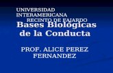 Bases Biológicas de la Conducta UNIVERSIDAD INTERAMERICANA RECINTO DE FAJARDO PROF. ALICE PEREZ FERNANDEZ.