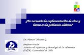 ¿Es necesaria la suplementación de zinc y hierro en la población chilena? Dr. Manuel Olivares G. Profesor Titular Instituto de Nutrición y Tecnología de.