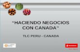 “ HACIENDO NEGOCIOS CON CANADA ” TLC PERU - CANADA.