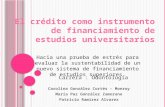 Carolina González Cortés – Monroy María Paz González Zamorano Patricio Ramírez Alvarez El crédito como instrumento de financiamiento de estudios universitarios.