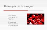 Fisiología de la sangre. Funciones Composición Plasma Eritrocitos Hemoglobina Eritropoyesis.