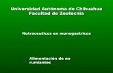 Universidad Autónoma de Chihuahua Facultad de Zootecnia Nutraceuticos en monogastricos Alimentación de no rumiantes.