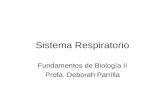 Sistema Respiratorio Fundamentos de Biología II Profa. Deborah Parrilla.