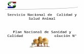 Servicio Nacional de Calidad y Salud Animal Plan Nacional de Sanidad y Calidad Avícola (Resolución N° 1643/10 )