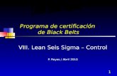 1 Programa de certificación de Black Belts VIII. Lean Seis Sigma – Control P. Reyes / Abril 2010.