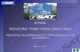 IV Panel REGISTRO TRIBUTARIO UNIFICADO (REGISTRO DE EMPRESARIOS Y PROFESIONALES EN GUATEMALA) Marzo 2007.
