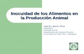 José R. Latorre, Ph.D. Catedrático Fisiología Animal Departamento de Industria Pecuaria Universidad de Puerto Rico - Mayagüez Inocuidad de los Alimentos.