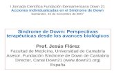 I Jornada Científica Fundación Iberoamericana Down 21 Acciones individualizadas en el Síndrome de Down Santander, 15 de noviembre de 2007 Síndrome de Down: