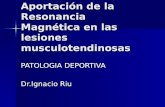 Aportación de la Resonancia Magnética en las lesiones musculotendinosas PATOLOGIA DEPORTIVA Dr.Ignacio Riu.