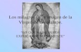 Los milagros de la imagen de la Virgen de Guadalupe. “LO QUE NADIE PUEDE EXPLICAR HUMANAMENTE”
