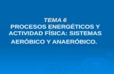 TEMA 6 TEMA 6 PROCESOS ENERGÉTICOS Y ACTIVIDAD FÍSICA: SISTEMAS AERÓBICO Y ANAERÓBICO.