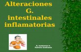 Alteraciones G. intestinales inflamatorias R. Contreras A. Patricia Sanhueza.