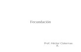 Fecundación Prof. Héctor Cisternas R.. La reproducción sexual da origen a descendientes genéticamente diferente de sus padres. La reproducción humana.