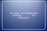 SISTEMAS DE PRODUCCIÓN CAPRINA EN VENEZUELA. Para el rubro caprino se estima que el 94% de los sistemas de producción son manejados de manera extensiva.