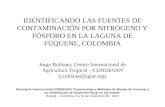 IDENTIFICANDO LAS FUENTES DE CONTAMINACIÓN POR NITRÓGENO Y FÓSFORO EN LA LAGUNA DE FÚQUENE, COLOMBIA Jorge Rubiano, Centro Internacional de Agricultura.