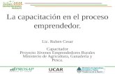 La capacitación en el proceso emprendedor. 1 Lic. Ruben Cesar Capacitador Proyecto Jóvenes Emprendedores Rurales Ministerio de Agricultura, Ganadería y.