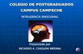 COLEGIO DE POSTGRADUADOS CAMPUS CAMPECHE INTELIGENCIA EMOCIONAL Presentado por RICARDO A. CHIQUINI MEDINA.